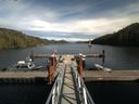 ./images/calvert/dock/20170920/dock20170920_144502.jpg
