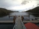 ./images/calvert/dock/20171008/dock20171008_164503.jpg