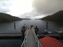 ./images/calvert/dock/20171009/dock20171009_141503.jpg