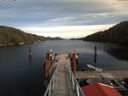 ./images/calvert/dock/20171011/dock20171011_143501.jpg