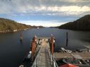 ./images/calvert/dock/20171013/dock20171013_142502.jpg