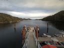 ./images/calvert/dock/20171013/dock20171013_155501.jpg