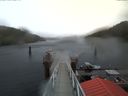 ./images/calvert/dock/20171015/dock20171015_115504.jpg