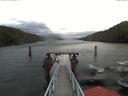 ./images/calvert/dock/20171018/dock20171018_093002.jpg