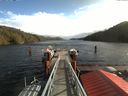 ./images/calvert/dock/20171018/dock20171018_115503.jpg