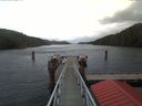 ./images/calvert/dock/20171018/dock20171018_141502.jpg