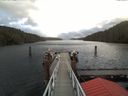 ./images/calvert/dock/20171019/dock20171019_110004.jpg