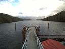 ./images/calvert/dock/20171019/dock20171019_110504.jpg