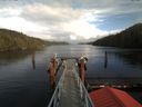 ./images/calvert/dock/20171019/dock20171019_155003.jpg
