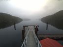 ./images/calvert/dock/20171031/dock20171031_124504.jpg
