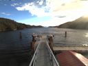 ./images/calvert/dock/20171102/dock20171102_105004.jpg