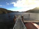 ./images/calvert/dock/20171102/dock20171102_105501.jpg