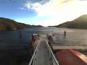 ./images/calvert/dock/20171102/dock20171102_111504.jpg