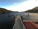 ./images/calvert/dock/20171102/dock20171102_113501.jpg