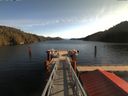 ./images/calvert/dock/20171103/dock20171103_120501.jpg