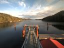 ./images/calvert/dock/20171104/dock20171104_154503.jpg