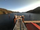 ./images/calvert/dock/20171105/dock20171105_112504.jpg