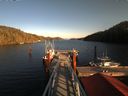 ./images/calvert/dock/20171105/dock20171105_145504.jpg