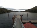 ./images/calvert/dock/20171106/dock20171106_111504.jpg
