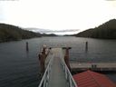 ./images/calvert/dock/20171106/dock20171106_112504.jpg