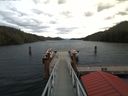 ./images/calvert/dock/20171106/dock20171106_122503.jpg