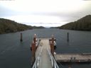 ./images/calvert/dock/20171107/dock20171107_082502.jpg