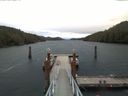 ./images/calvert/dock/20171107/dock20171107_083002.jpg
