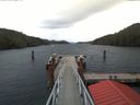 ./images/calvert/dock/20171107/dock20171107_124502.jpg