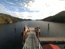 ./images/calvert/dock/20171109/dock20171109_121502.jpg