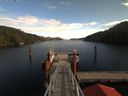 ./images/calvert/dock/20171109/dock20171109_124001.jpg