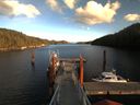 ./images/calvert/dock/20171112/dock20171112_145504.jpg