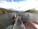 ./images/calvert/dock/20171114/dock20171114_102504.jpg