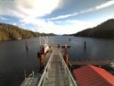 ./images/calvert/dock/20171114/dock20171114_111504.jpg