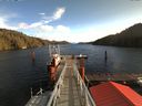 ./images/calvert/dock/20171114/dock20171114_112504.jpg