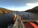 ./images/calvert/dock/20171114/dock20171114_115001.jpg
