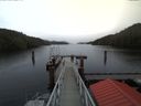 ./images/calvert/dock/20171115/dock20171115_121004.jpg
