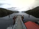 ./images/calvert/dock/20171116/dock20171116_123504.jpg