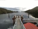 ./images/calvert/dock/20171117/dock20171117_095004.jpg