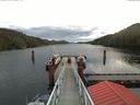 ./images/calvert/dock/20171117/dock20171117_095502.jpg