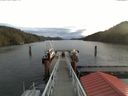./images/calvert/dock/20171117/dock20171117_104004.jpg