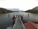 ./images/calvert/dock/20171117/dock20171117_104504.jpg