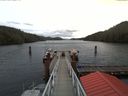 ./images/calvert/dock/20171117/dock20171117_125502.jpg