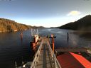 ./images/calvert/dock/20171120/dock20171120_114504.jpg