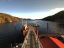 ./images/calvert/dock/20171120/dock20171120_115002.jpg