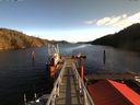 ./images/calvert/dock/20171120/dock20171120_115502.jpg