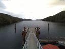 ./images/calvert/dock/20171121/dock20171121_093504.jpg