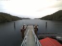./images/calvert/dock/20171121/dock20171121_111504.jpg