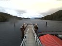 ./images/calvert/dock/20171122/dock20171122_152003.jpg