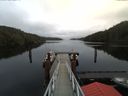 ./images/calvert/dock/20171123/dock20171123_113001.jpg