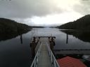 ./images/calvert/dock/20171123/dock20171123_115004.jpg